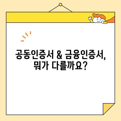 카카오뱅크 공동인증서 & 금융인증서 발급 완벽 가이드 | 간편하게 발급받는 방법, 상세설명