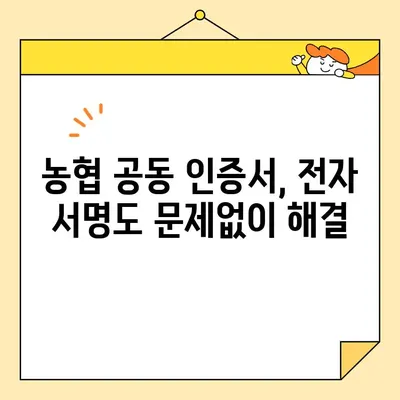 카카오뱅크, 농협 공동 인증서 발급 방법| 간편하고 빠르게 발급받는 완벽 가이드 | 공동 인증서, 전자 서명, 금융 거래, 온라인 서비스