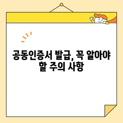 개인사업자 공동인증서 비대면 발급 완벽 가이드 | 온라인 신청, 필요 서류, 발급 방법, 주의 사항