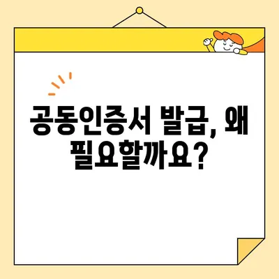 다수공급자계약 필수 사업자 공동인증서 발급 안내| 단계별 가이드 | 공동인증서, 발급, 절차, 다수공급자계약