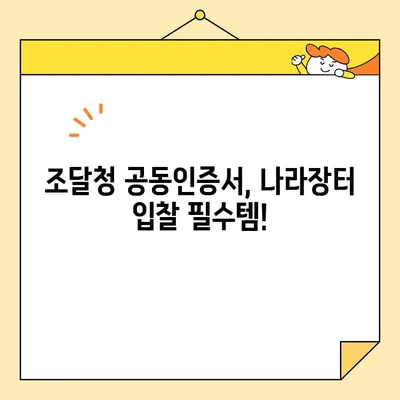 나라장터 입찰 필수! 범용 사업자 공동인증서 즉시 발급 가이드 | 조달청, 공동인증서, 입찰참여