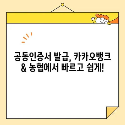 공동인증서 발급, 카카오뱅크 & 농협에서 쉽고 빠르게! | 공동인증서, 발급 방법, 카카오뱅크, 농협, 금융 서비스