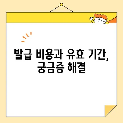 사업자 범용 공동인증서 발급| 필요 서류와 간편 발급 가이드 | 공동인증서, 사업자등록증, 발급절차