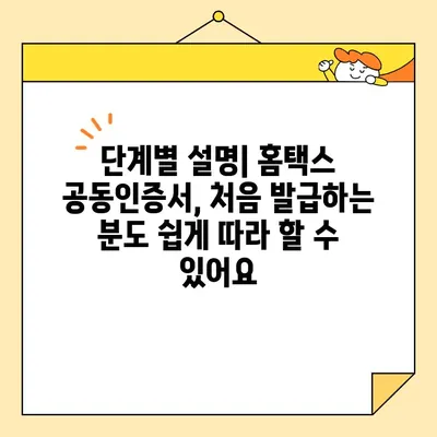 홈택스 사업자 공동인증서(범용인증서) 즉시 발급받는 방법 | 간편 발급 가이드, 단계별 설명, 필요 서류