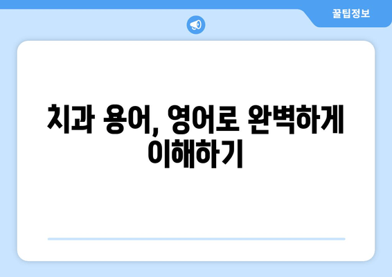 치과 예약 필수 영어 표현 & 관용구 완벽 정복 | 치과 예약, 영어 회화, 치과 용어