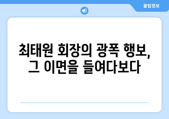 최태원 회장, 