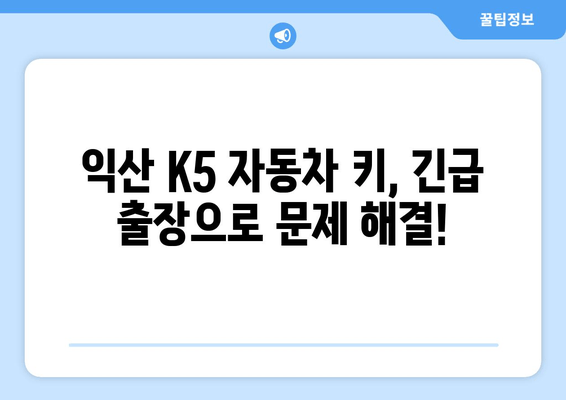 익산 K5 키 분실? 출장 키 제작 전문가의 해결 사례 | 자동차 키 분실, 긴급 출장, 익산