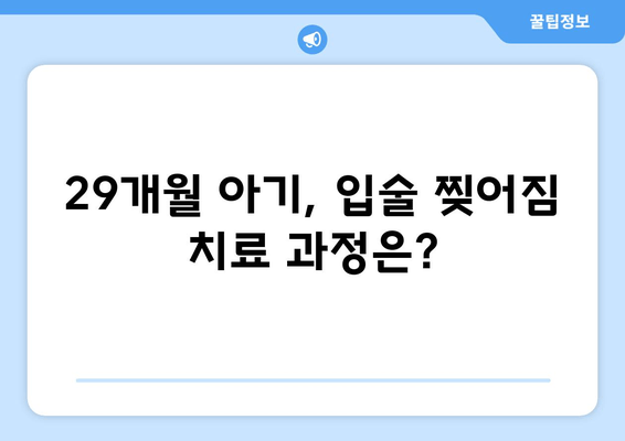 29개월 아기 입술 찢어짐, 부산 서면 어린이치과 1차 검진 후 치료 경과| 상세 후기 | 어린이 치과, 입술 찢어짐, 치료 과정, 부산 서면