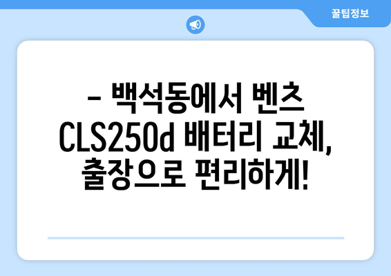 백석동 벤츠 CLS250d 출장 배터리 교체| 빠르고 안전하게 | 벤츠 배터리 교체, 출장 서비스, 자동차 배터리