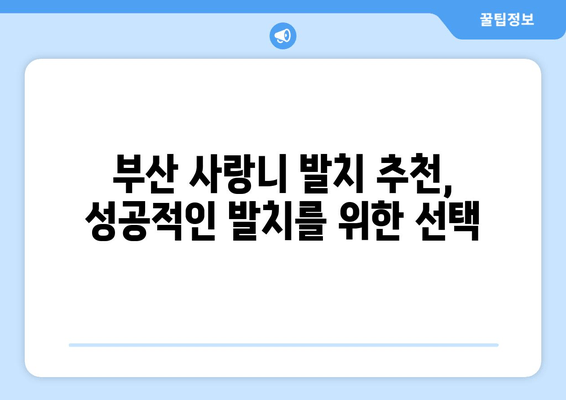 부산 사랑니 발치, 어디서 할지 고민되시죠? | 사랑니 치과 비교 가이드, 추천, 후기