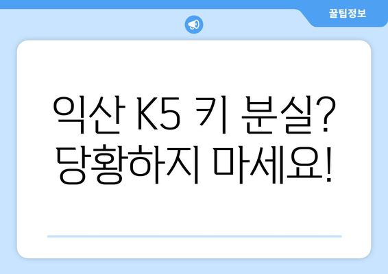 익산 K5 키 분실? 출장 키 제작 전문가의 해결 사례 | 자동차 키 분실, 긴급 출장, 익산