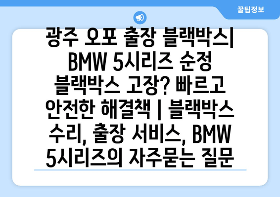 광주 오포 출장 블랙박스| BMW 5시리즈 순정 블랙박스 고장? 빠르고 안전한 해결책 | 블랙박스 수리, 출장 서비스, BMW 5시리즈