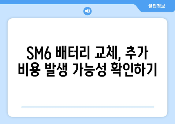 SM6 출장 배터리 교체, 얼마나 들까요? | 비용 안내 및 팁