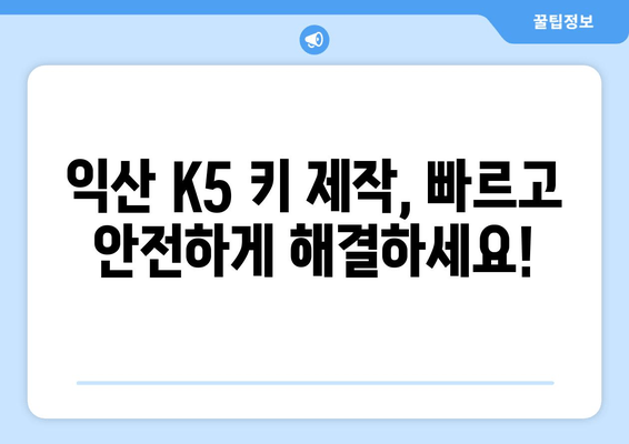 익산 K5 키 분실? 출장 키 제작 전문가의 해결 사례 | 자동차 키 분실, 긴급 출장, 익산