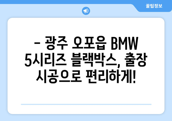 광주 오포읍 BMW 5시리즈 블랙박스 출장 시공 전문점 | 믿을 수 있는 기술, 합리적인 가격