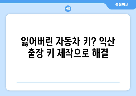 익산 출장 키 제작 전문가| 빠르고 안전하게 문을 열어드립니다 | 긴급 출장, 자동차 키, 디지털 도어록, 24시간