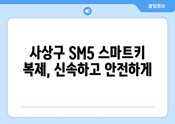 사상구 SM5 스마트키 복사, 출장 서비스점 비용 얼마? | 차키 분실, 긴급 출장, 스마트키 복제