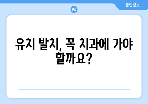 유치 첫니 빠지는 시기 & 치과 발치 비용| 궁금한 모든 것 | 유치, 발치, 치과, 비용, 시기, 정보