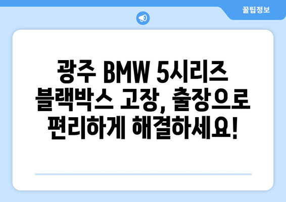 광주 BMW 5시리즈 블랙박스 고장? 출장 시공으로 빠르고 안전하게 해결하세요! | 블랙박스 수리, 출장 서비스, 전문 업체