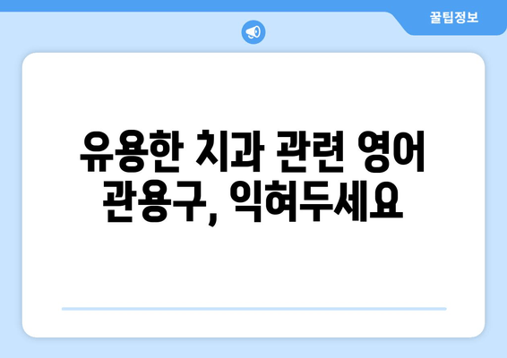 치과 예약 필수 영어 표현 & 관용구 완벽 정복 | 치과 예약, 영어 회화, 치과 용어