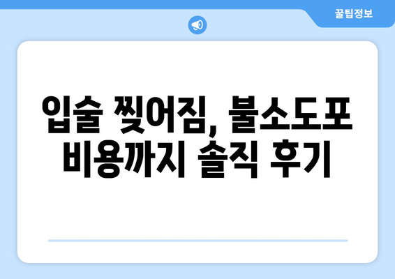 부산 서면 어린이치과 29개월 아기 영유아 구강검진 후기| 입술 찢어짐, 불소도포 비용, 주차, 예약 정보 | 실제 경험, 솔직 후기, 꿀팁