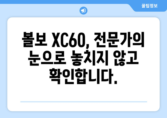 볼보 XC60 신차 출장 검수, 비용 얼마? | 출장 검수, 신차 검수, 볼보 XC60, 비용 안내