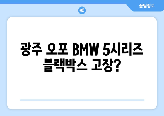 광주 오포 출장 블랙박스| BMW 5시리즈 순정 블랙박스 고장? 빠르고 안전한 해결책 | 블랙박스 수리, 출장 서비스, BMW 5시리즈