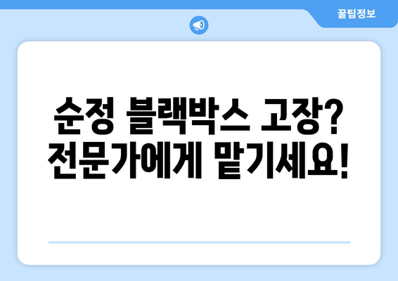 광주 오포 출장 블랙박스| BMW 5시리즈 순정 블랙박스 고장? 빠르고 안전한 해결책 | 블랙박스 수리, 출장 서비스, BMW 5시리즈