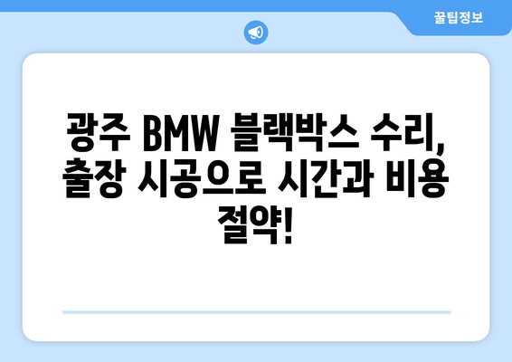 광주 BMW 5시리즈 블랙박스 고장? 출장 시공으로 빠르고 안전하게 해결하세요! | 블랙박스 수리, 출장 서비스, 전문 업체