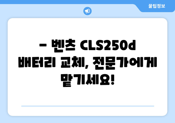 백석동 벤츠 CLS250d 출장 배터리 교체| 빠르고 안전하게 | 벤츠 배터리 교체, 출장 서비스, 자동차 배터리