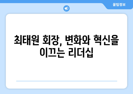 최태원 회장, 