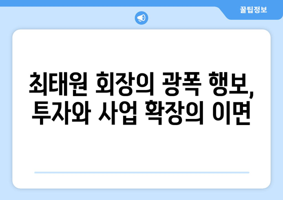 최태원 회장, 