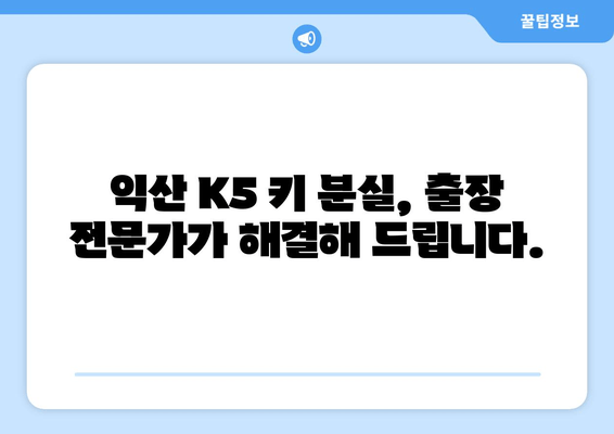 익산 K5 키 분실? 출장 키 제작 전문가의 해결 사례 | 자동차 키 분실, 긴급 출장, 익산