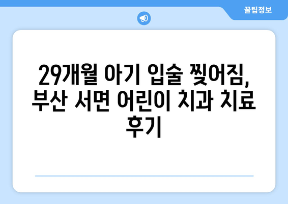 29개월 아기 입술 찢어짐, 부산 서면 어린이치과 1차 검진 후 치료 경과| 상세 후기 | 어린이 치과, 입술 찢어짐, 치료 과정, 부산 서면