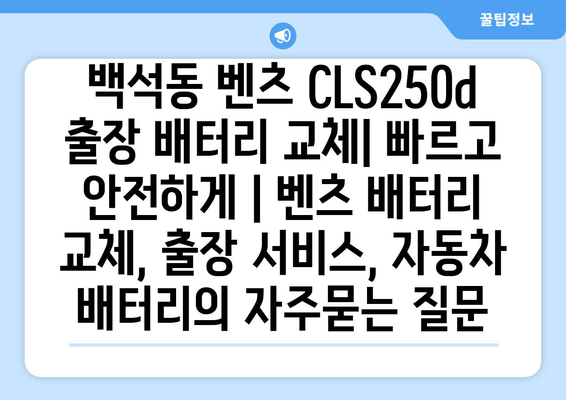 백석동 벤츠 CLS250d 출장 배터리 교체| 빠르고 안전하게 | 벤츠 배터리 교체, 출장 서비스, 자동차 배터리