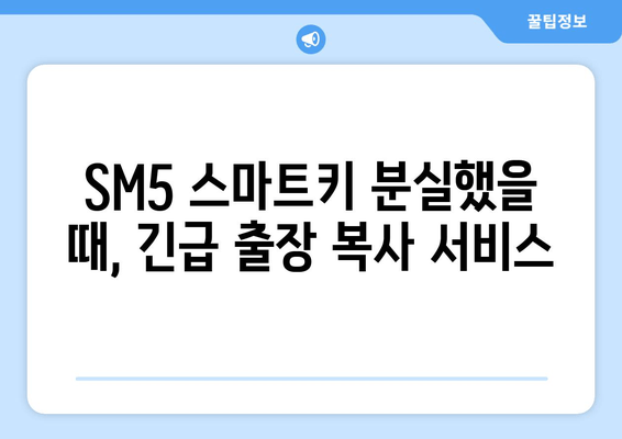 사상구 SM5 스마트키 복사, 출장 서비스점 비용 얼마? | 차키 분실, 긴급 출장, 스마트키 복제