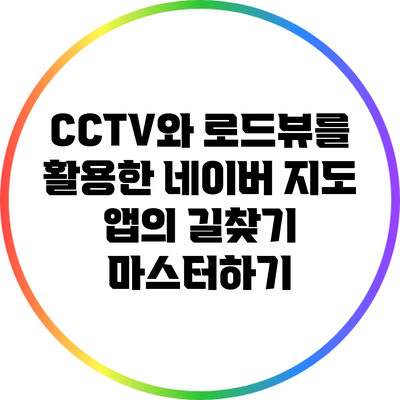 CCTV와 로드뷰를 활용한 네이버 지도 앱의 길찾기 마스터하기