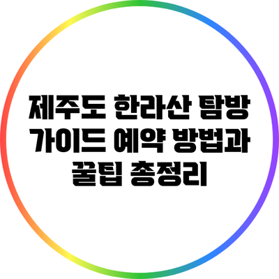 제주도 한라산 탐방 가이드: 예약 방법과 꿀팁 총정리