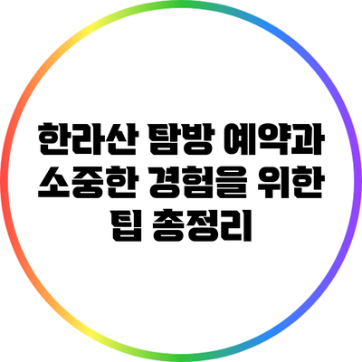 한라산 탐방 예약과 소중한 경험을 위한 팁 총정리