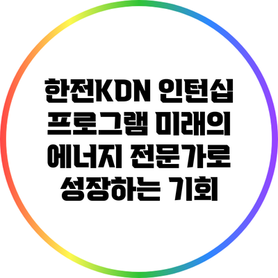 한전KDN 인턴십 프로그램: 미래의 에너지 전문가로 성장하는 기회