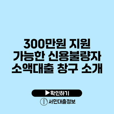 300만원 지원 가능한 신용불량자 소액대출 창구 소개