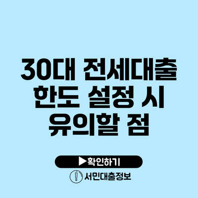30대 전세대출 한도 설정 시 유의할 점