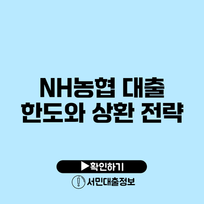 NH농협 대출 한도와 상환 전략