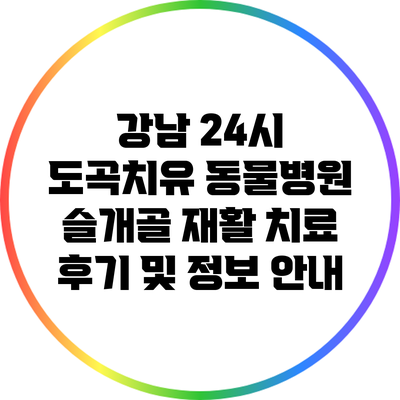 강남 24시 도곡치유 동물병원 슬개골 재활 치료 후기 및 정보 안내