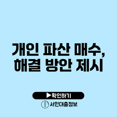 개인 파산 매수, 해결 방안 제시