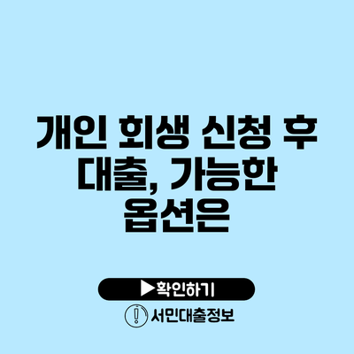 개인 회생 신청 후 대출, 가능한 옵션은?