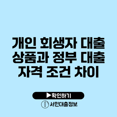 개인 회생자 대출 상품과 정부 대출 자격 조건 차이