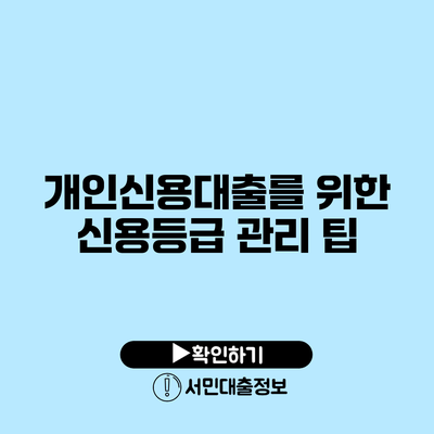 개인신용대출를 위한 신용등급 관리 팁