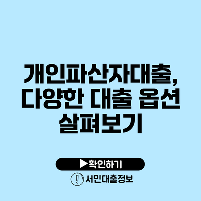 개인파산자대출, 다양한 대출 옵션 살펴보기