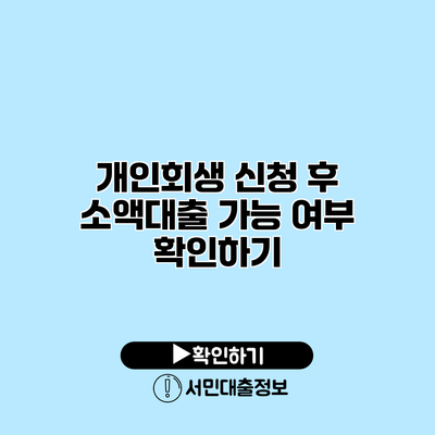 개인회생 신청 후 소액대출 가능 여부 확인하기